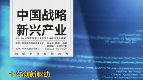 《中國(guó)戰(zhàn)略新興產(chǎn)業(yè)》專(zhuān)訪林楊林：大健康產(chǎn)業(yè)一定是慢工出細(xì)活